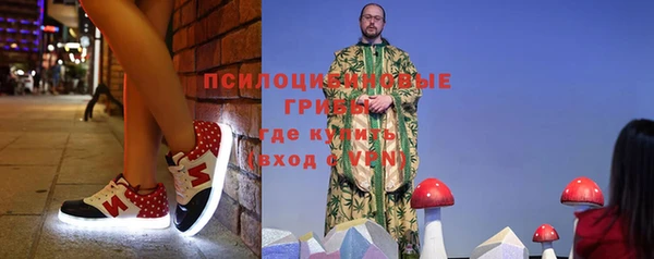СК Богородицк