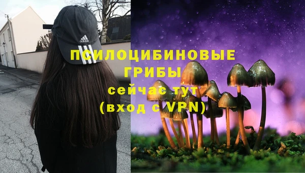 таблы Богданович