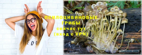 spice Ступино