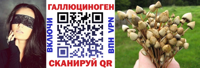 купить наркотики цена  Егорьевск  Галлюциногенные грибы прущие грибы 